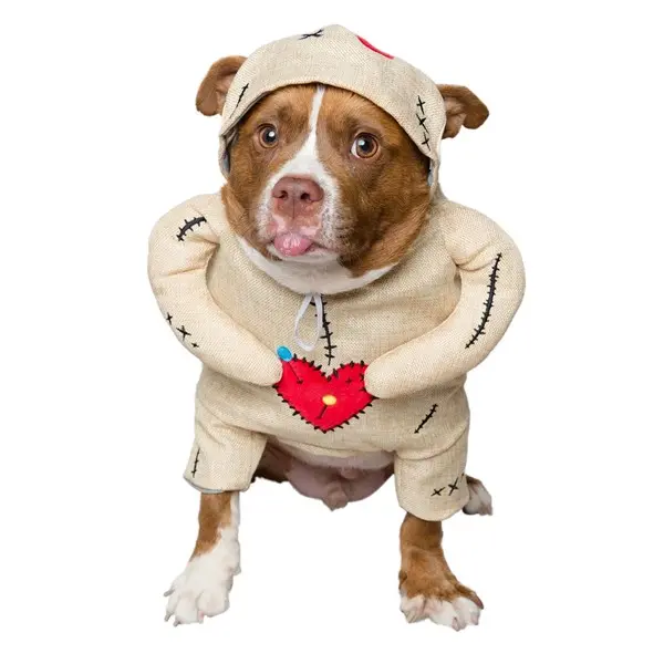Voodoo Doll Pet Dog Costume