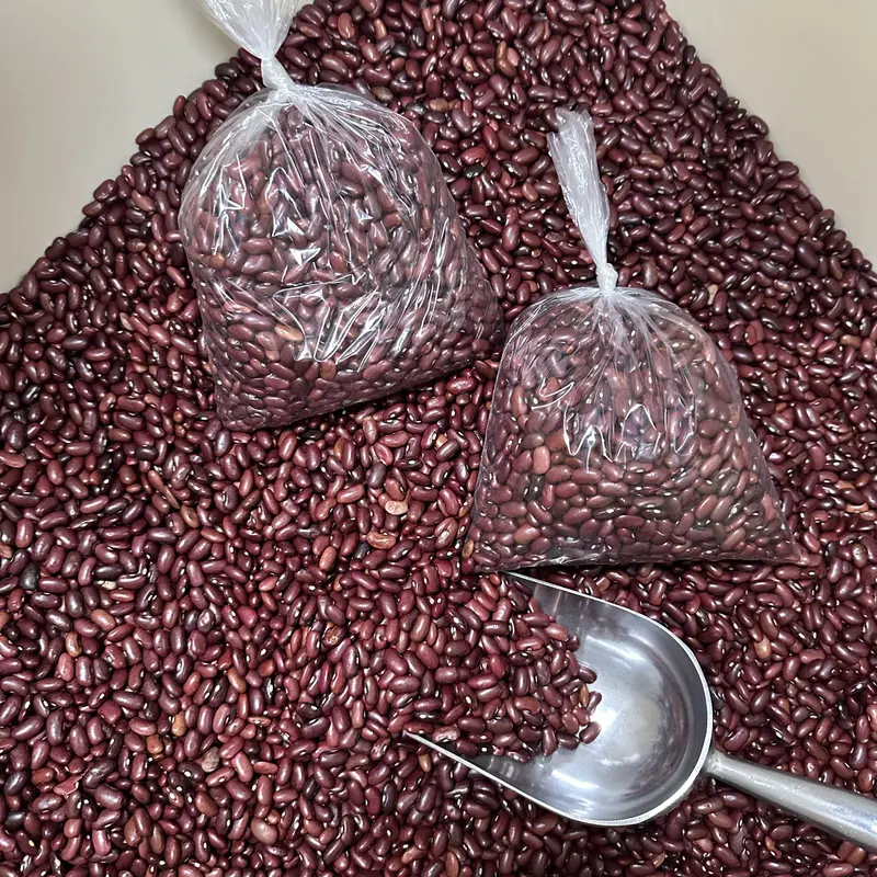 Frijol de Seda Salvadoreños 2lbs - Seeds Beans