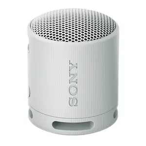 SRS-XB100 Wireless Bluetooth Portable Lightweight Compact Travel Speaker with Strap (Gray) for Sony