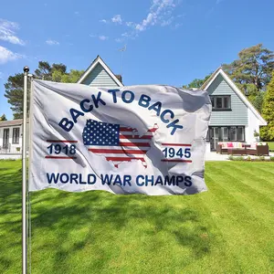 Back to Back World War Champs Flag 3x5fts 90x150cm High Quality Polyester Flag Brass Grommets Outdoor Banner