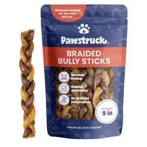 9" Braided Bully Sticks
