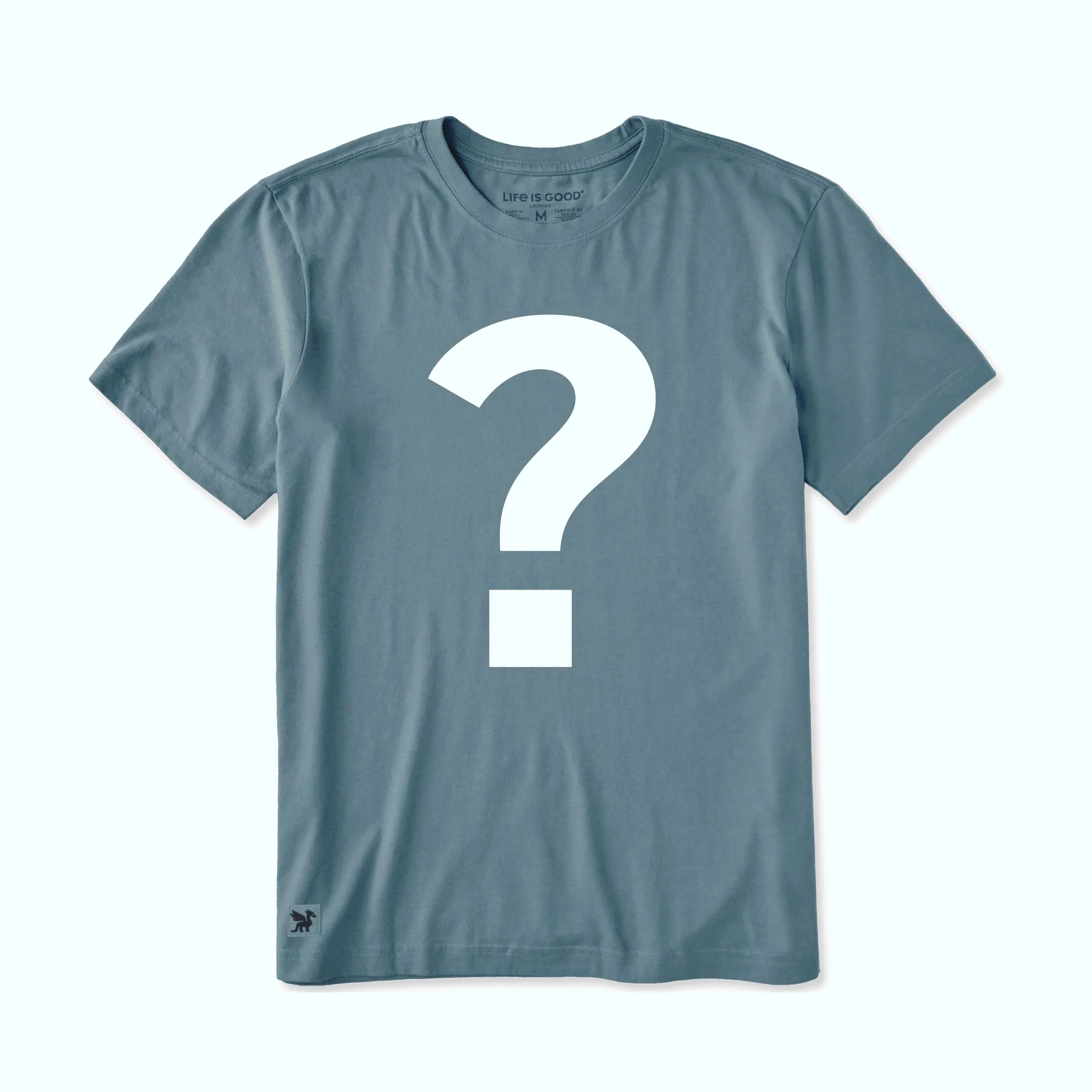 Men's FINAL SALE Mystery Tee