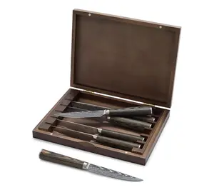 Bobby Flay by GreenPan Stainless Steel 6-pcSteak Knife Set