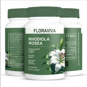 Floraviva Rhodiola Rosea Capsules 500mg - Natural Adaptogen Supplement for Stress Support, Mental Focus & Energy - Non-GMO (60 Capsules)