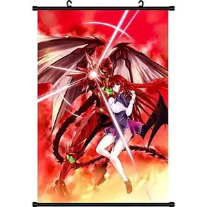 Japanese Anime High School DXD Fabric Painting Anime Home Decor