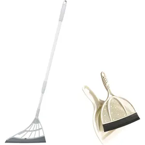 Brush & Dustpan with The