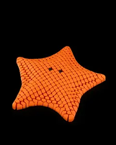 Ocean Flex Starfish – A Fun, Movable Sea Creature decor, fidget