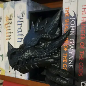 Dragon book nook Decor