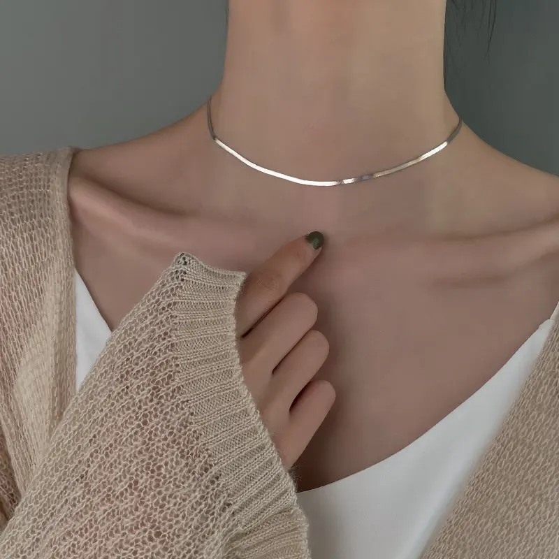 Snake bone necklace women's summer 2025 simple ins cold wind light luxury niche collarbone neck chain