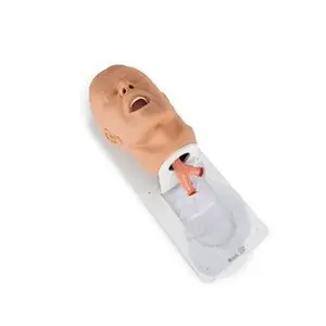 Simulaids Economy Adult Airway Trainer