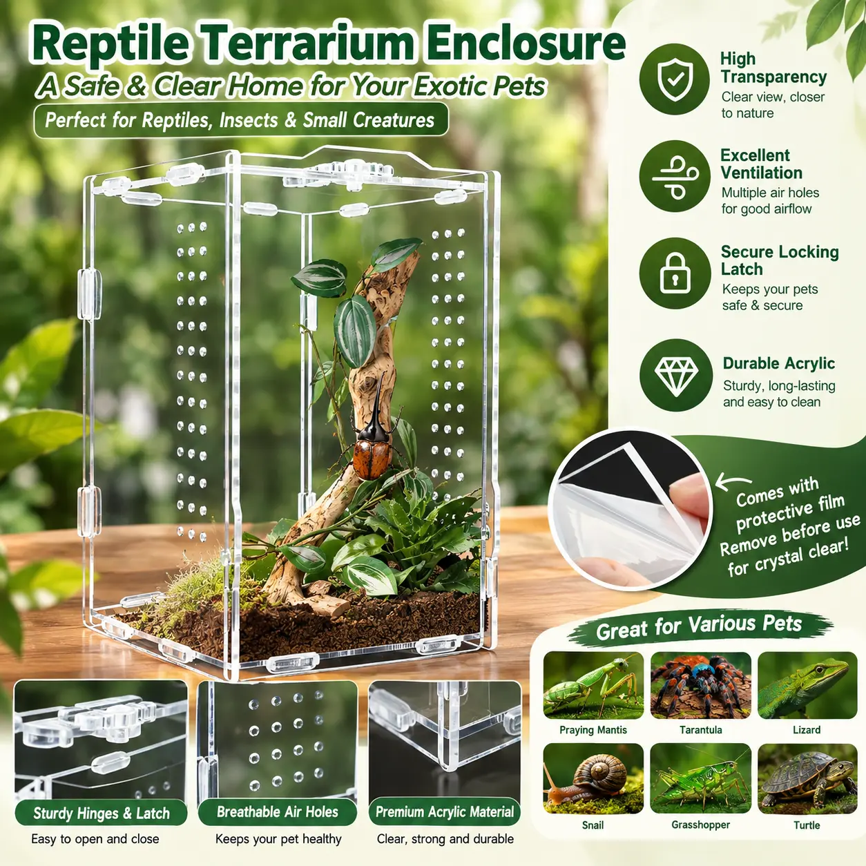 Acrylic Rectangular Enclosed Insect Habitat for Jumping Spiders - Dual Sizes (4x4x8in, 8x8x16in), Full Visibility, No Extra Shipping Supplies Needed, Pet Reptile Amphibian Terrarium Accessory