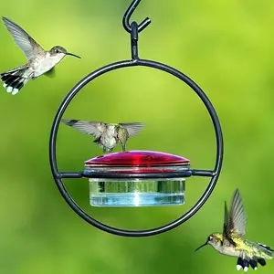 Hanging Hummingbird Feeder Set with Round Metal Frame and Perch, Plastic Box Bird Waterer, Bird Feeding Station for Outdoor Garden and Yard