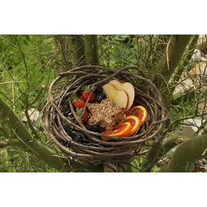 Tree Nest for Wild Foraging Birds