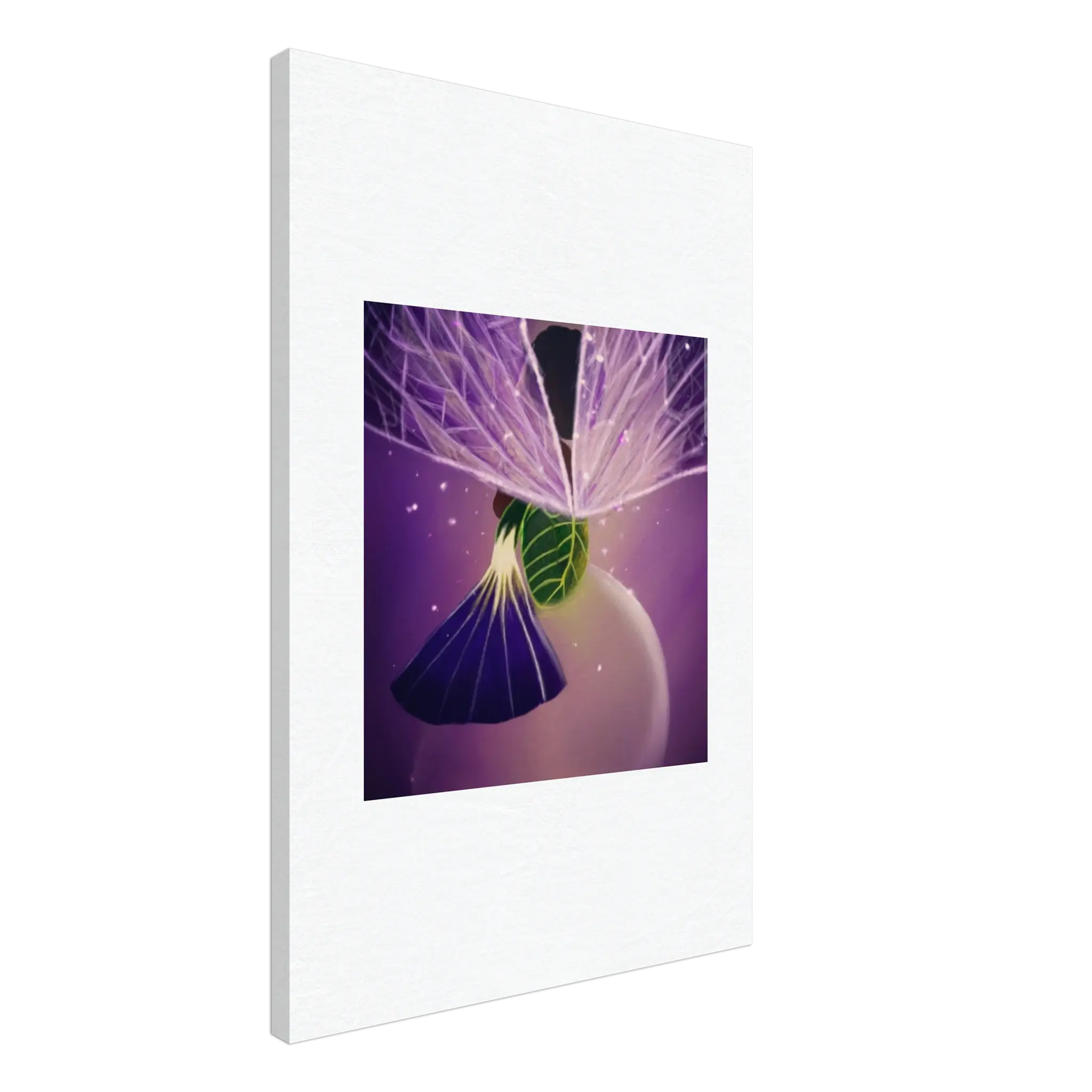 Little Morning Glory Canvas