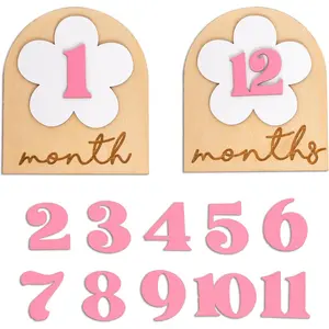 Wooden Daisy Monthly Milestone Sign - Flower Theme Photo Props  Disc First Birthday Decor, Announcement Sign for  Shower,Girls  Photography Props