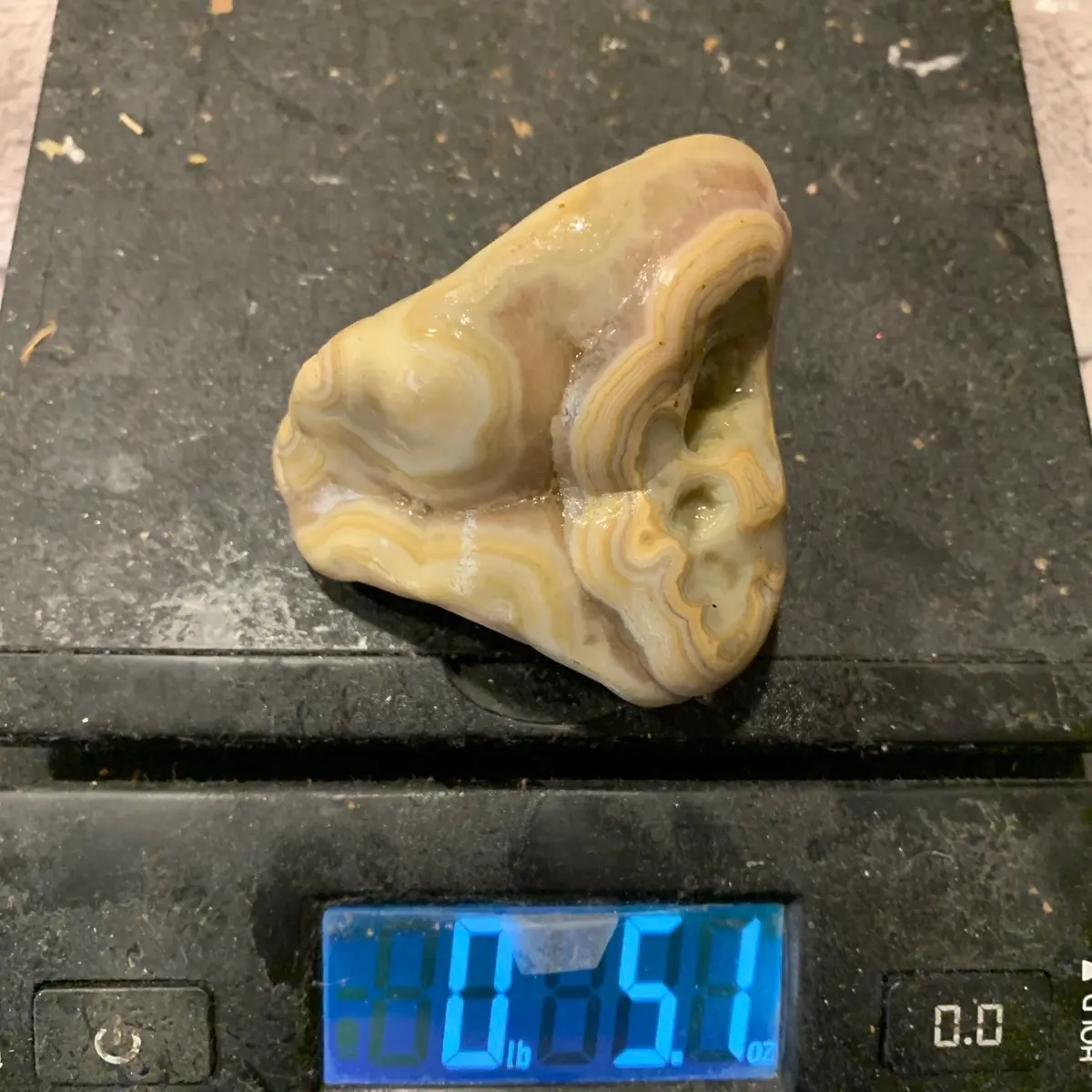 Beautiful Crowley Ridge Agate 5.1 Oz not polished photo taken wet