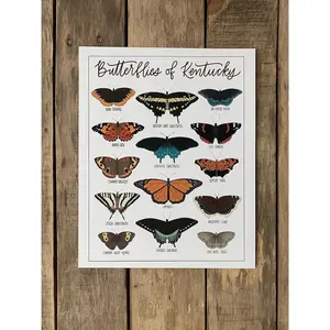Field & Forest Design - Butterflies of Kentucky