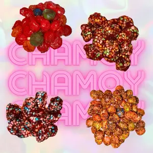 Chamoy Gummy Candy- Gushers Nerdz Gummy Clusters Skittlez you choose Fruity tangy sweet