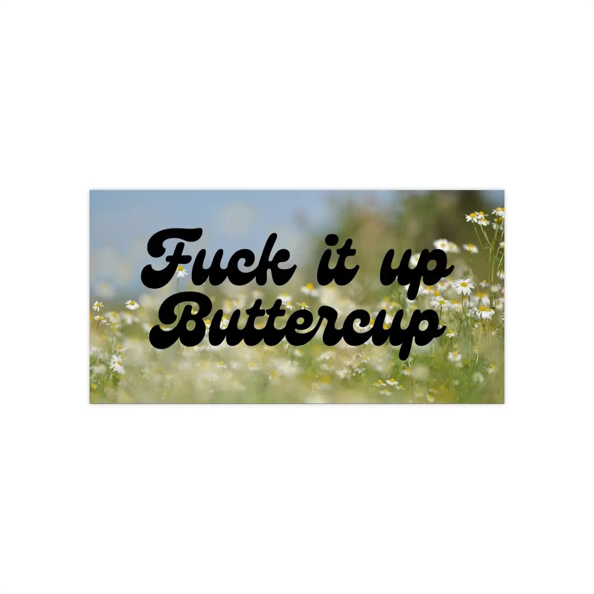 f it up buttercup, bumper sticker, water bottle sticker, car accessories, gen z aesthetic, bumper stickers, sarcastic stickers