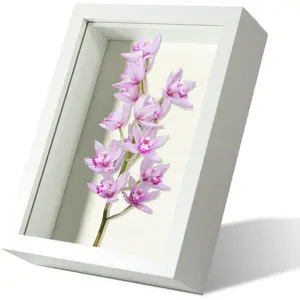 4x6 Small Shadow Box Frame Display Case with Real Glass for Memorabilia,Wedding Memories,Pins,Awards,Crafts,Tickets and Photos(White,)