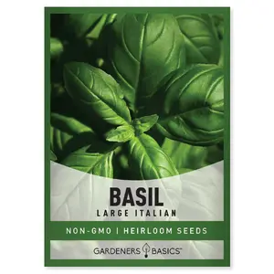 Italian Large Leaf Basil Seeds
