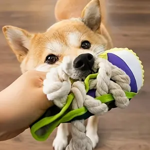 Realistic Canvas Shoe Dog Toy, Colorful Fresh Design, Anti-Teardown Interactive Sound, Non-Toxic Bite-Resistant, Suitable for Small to Medium Dogs