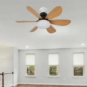 E27 Ceiling Fan Light with Remote Control, 3 Speed Adjustable Ceiling Fan Light, Indoor Lighting for Kitchen, Bedroom, Small Room, Closet, Home Decor Light