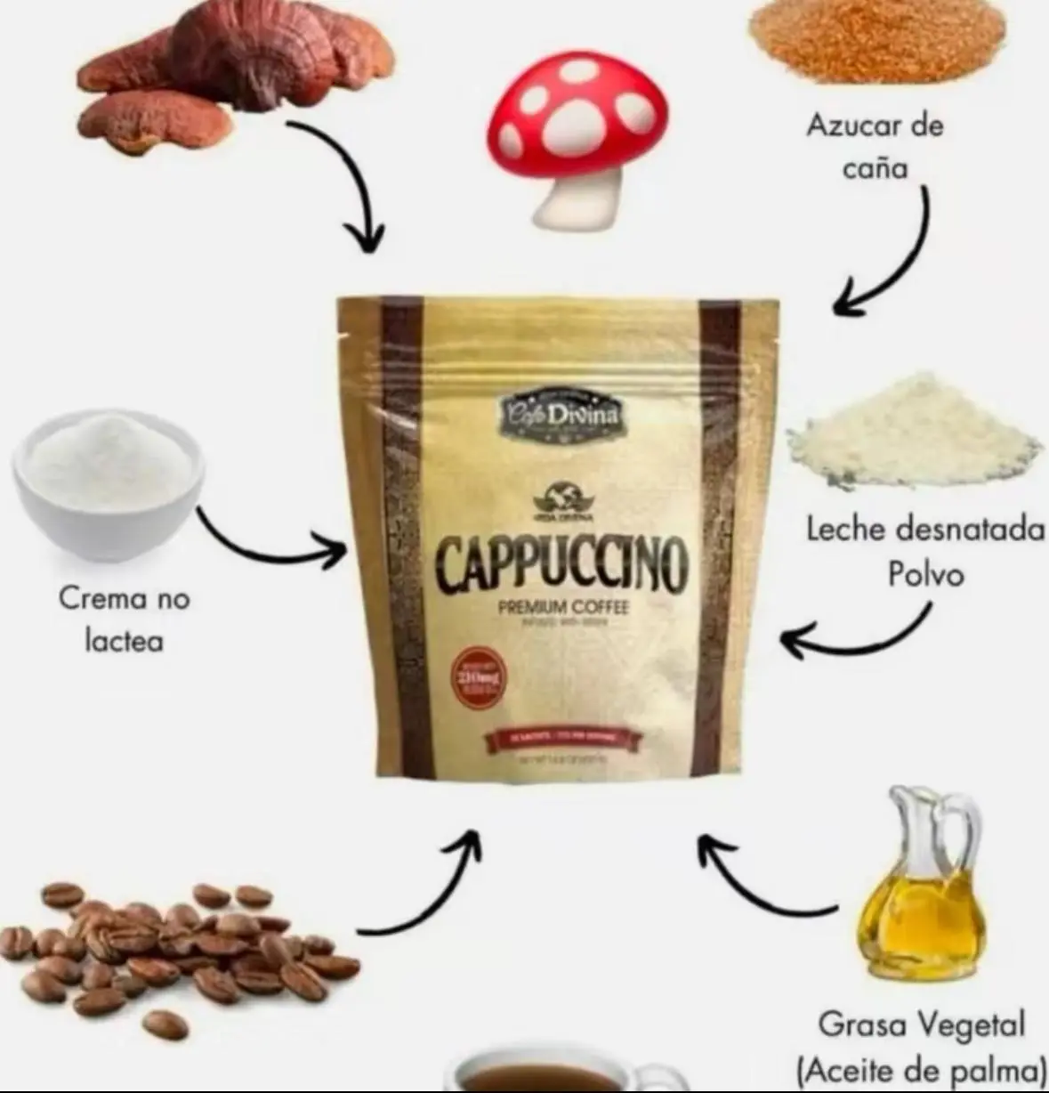 Cafe Divina Premium Cappuccino Coffee Infused with Reishi 210mg 20 Sachets per Pack 14.8 oz from the USA
