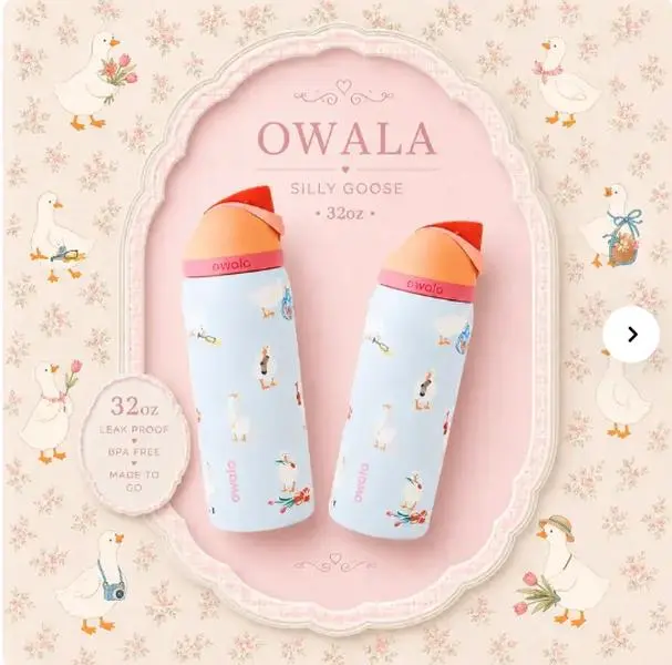 Owala UO Exclusive Silly Goose FreeSip 32 oz Insulated Water Bottle for Kitchen, Drinkware Use Insulated Vacuum Flasks Insulated Water Cup