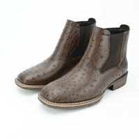 Ostrich pattern - dark brown