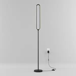 Leni dimmable LED modern floor lamp