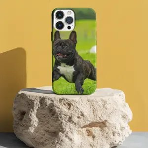 French Bulldog Phone Case for iPhone – Shockproof, Scratch-Resistant, Cute Pet Design for Dog Lovers