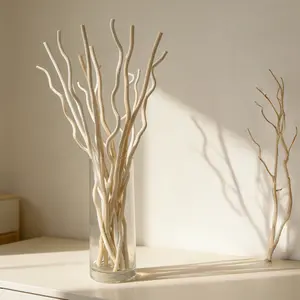Dried Birch Twigs - 15Pcs 17” Natural Decorative Birch Branches for Vases, Curly Willow Branches for DIY, Floral Arrangement, Twig Wreath, Rustic Home Decor