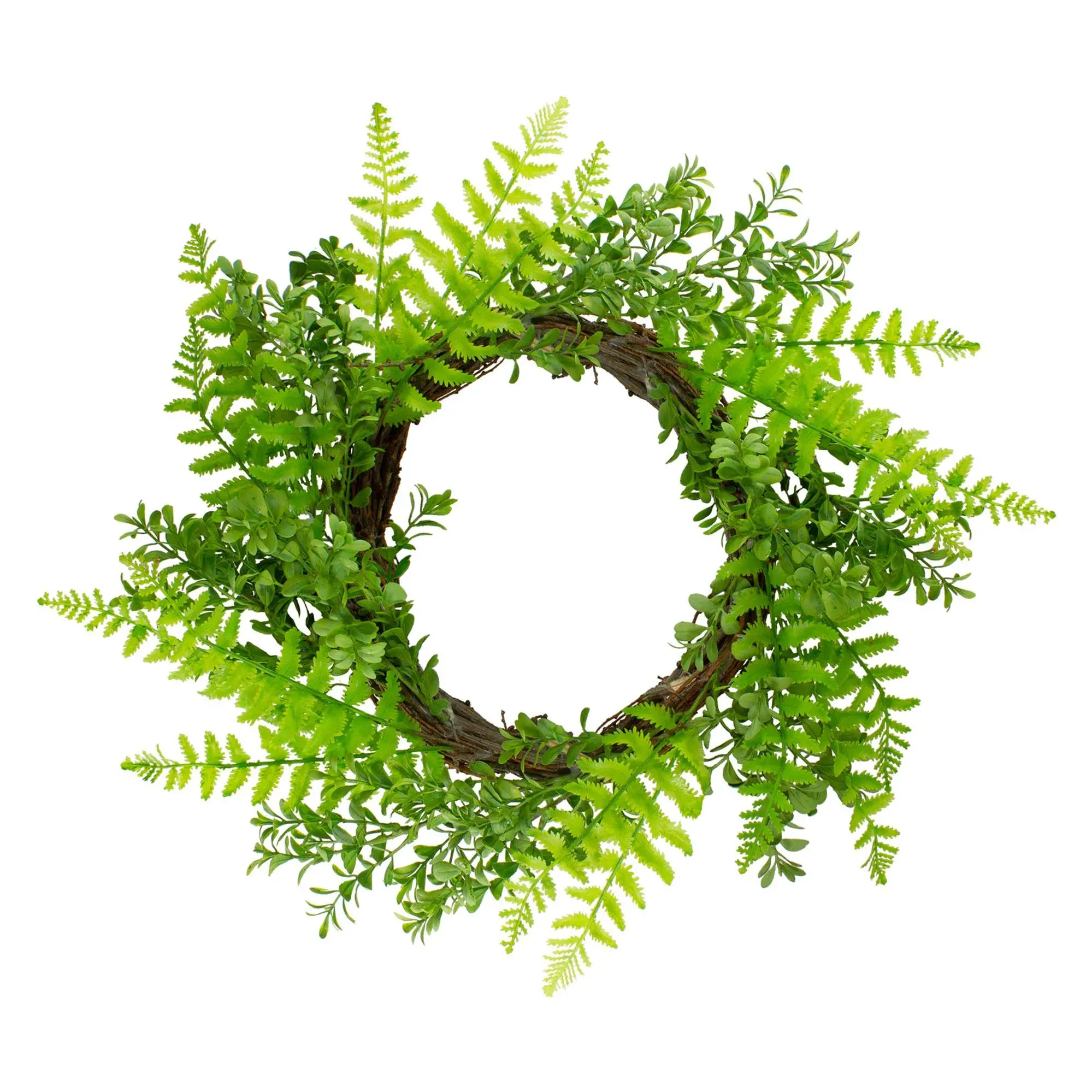 Northlight Fern Leaf Springtime Wreath  Green -18-Inch