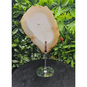 Unique Agate Slice on Display Stand