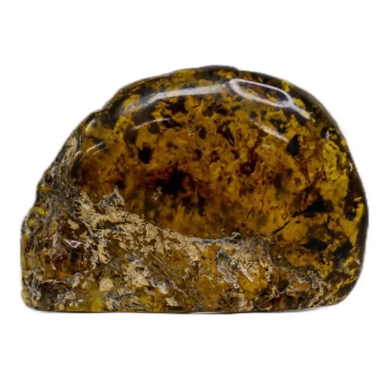 Rare Baltic Amber Specimen 2"x5" Hand-Picked 1-of-1 Natural Gemstone Collectible Piece