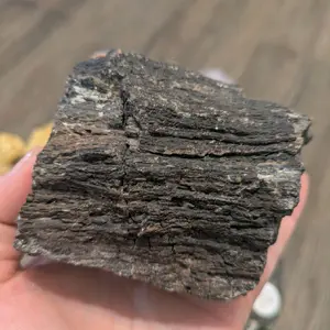 opalized wood