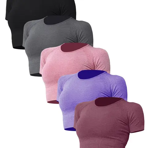 5count Women's Short Sleeve Round Neck Activewear Workout T-Shirt The GYM Sports Tees Running Fitness Exercise Activewear Seamless Yoga Top Gym Tops Stretchable Activewear Workout Clothes