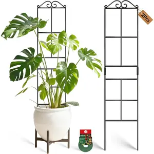 31.8'' Stackable  Trellis Indoor, Metal Trellis for Climbing  Indoor, House  Support with Soft Ties for Monstera Hoya Pothos, 2P