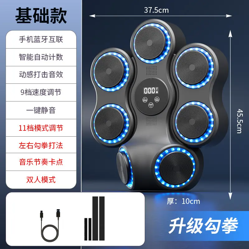 Hook Punch Bluetooth Music Boxing Target