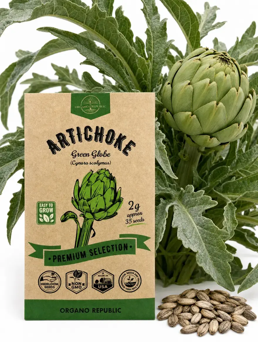 Green Globe Artichoke Seeds