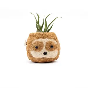 Mini Sloth Planter