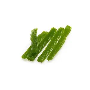 Green Apple Shorties | 1Lb Tube | Fruity Licorice Candy