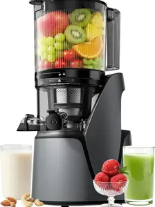EanOruus Juicer Machine, 3-in-1 Cold Press Juicer with 6.5" Extra Large Chute, 100oz Large Capacity AC Motor, Makes Juice, Nut Milk & Sorbet, Premium Gray