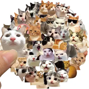 50pcs Cute Cat Stickers, Fun Kawaii Kitten Stickers for Water Bottles, Laptops, Guitars, Suitcases, DIY Waterproof Decals for Gifts, Sticker Sheets, Sticker Packs, Funny Stickers