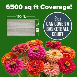 Zinnia Seeds for Beginners – Easy Growing Flower Seeds, Perfect for Home Garden, Balcony, Patio, and Colorful Flower Beds