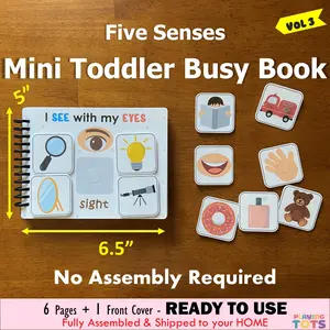 Five Senses Matching, Mini Busy Book VOL3, Learning binder