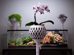 Orchid Aquarium Wicking Pot – Self-Watering Planter for Epiphytes