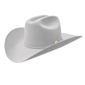 Texanas Stetson - 6x Stetson Adelante Silvergray