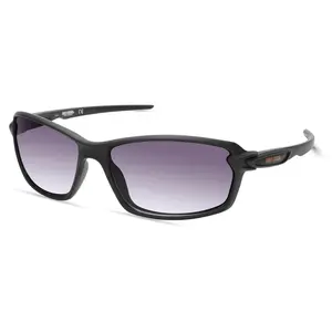 Harley Davidson Men's Sunglasses -Gradient Smok e